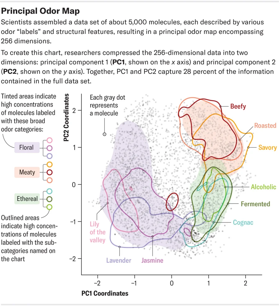 principal_odor_map