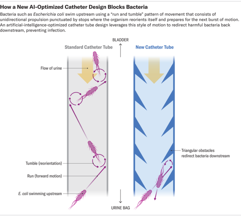 AIcatheter_graphic_ScientificAmerican_20240115