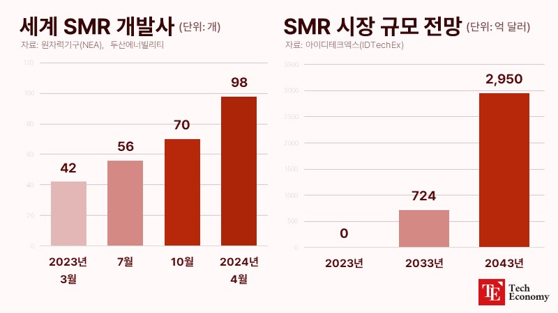 global_SMR_TE_20240527