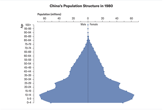 1980년 중국의 연령대별 인구 분포