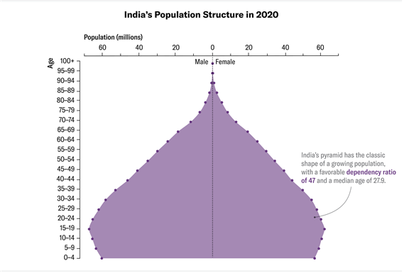 2020년 인도의 연령대별 인구 분포