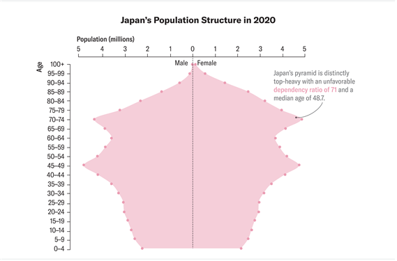 2020년 일본의 연령대별 인구 분포